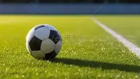 王菲声明：肖像权遭侵权，将严厉打击违法行为