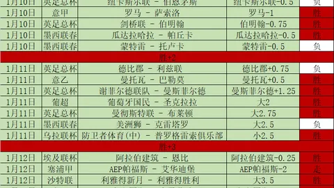 意甲两轮后宣告降级，首赛季提前落幕