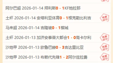 宿松古县，振翅腾飞，千年风采绽放新生