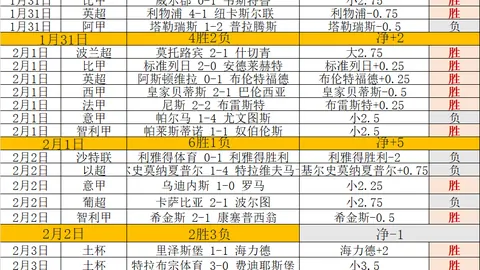 大乐透期号专家质合分析：拜仁德甲挑战预测